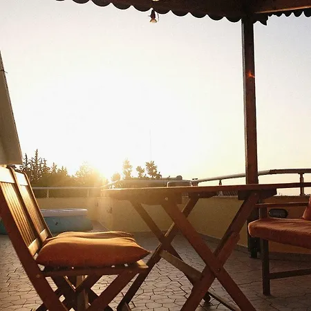 Friends Terrace * Tiran